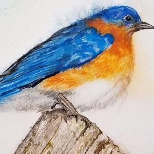 Meet your Posher, Catherine